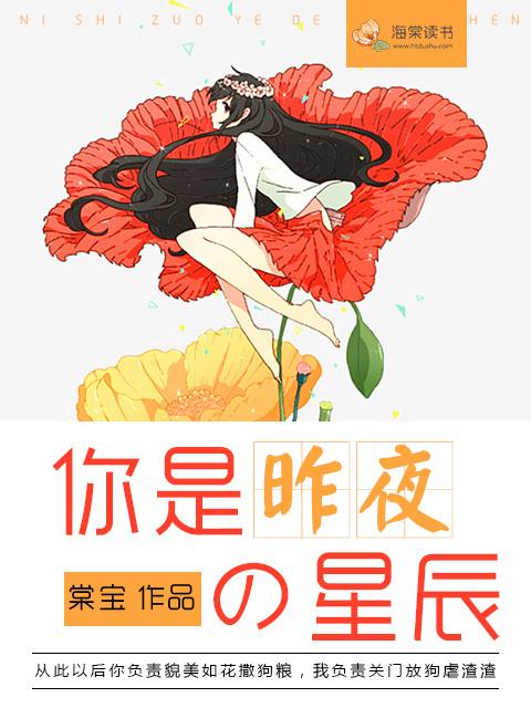 昨夜星辰昨夜你是什么歌