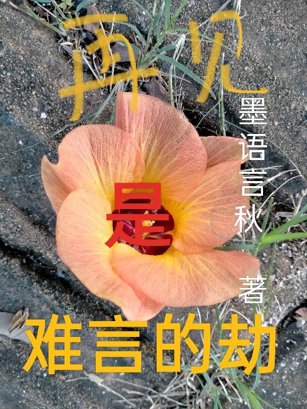 再见难说故事还没完是什么歌