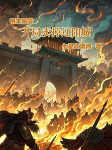 明末主角在辽东